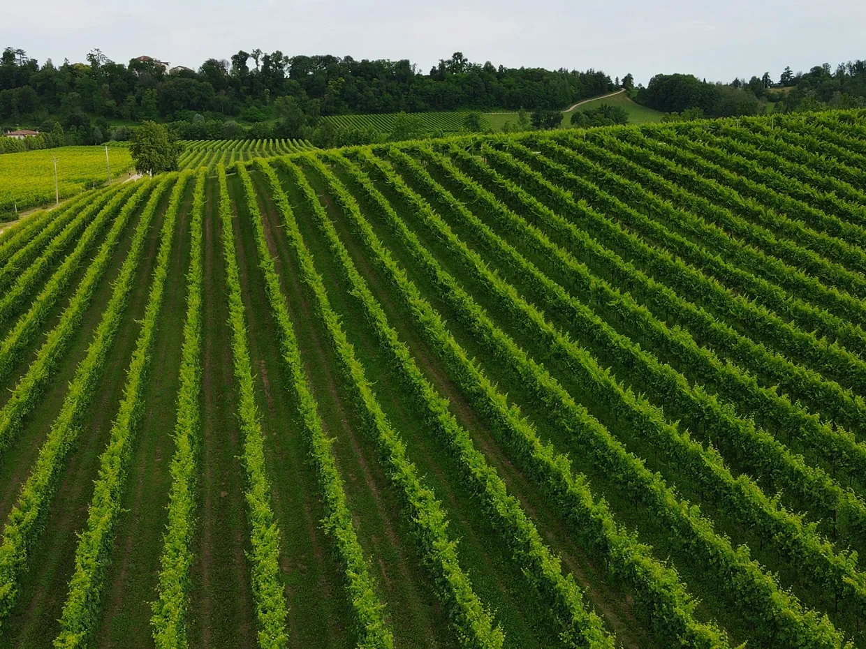 lucchetta-azienda_territorio