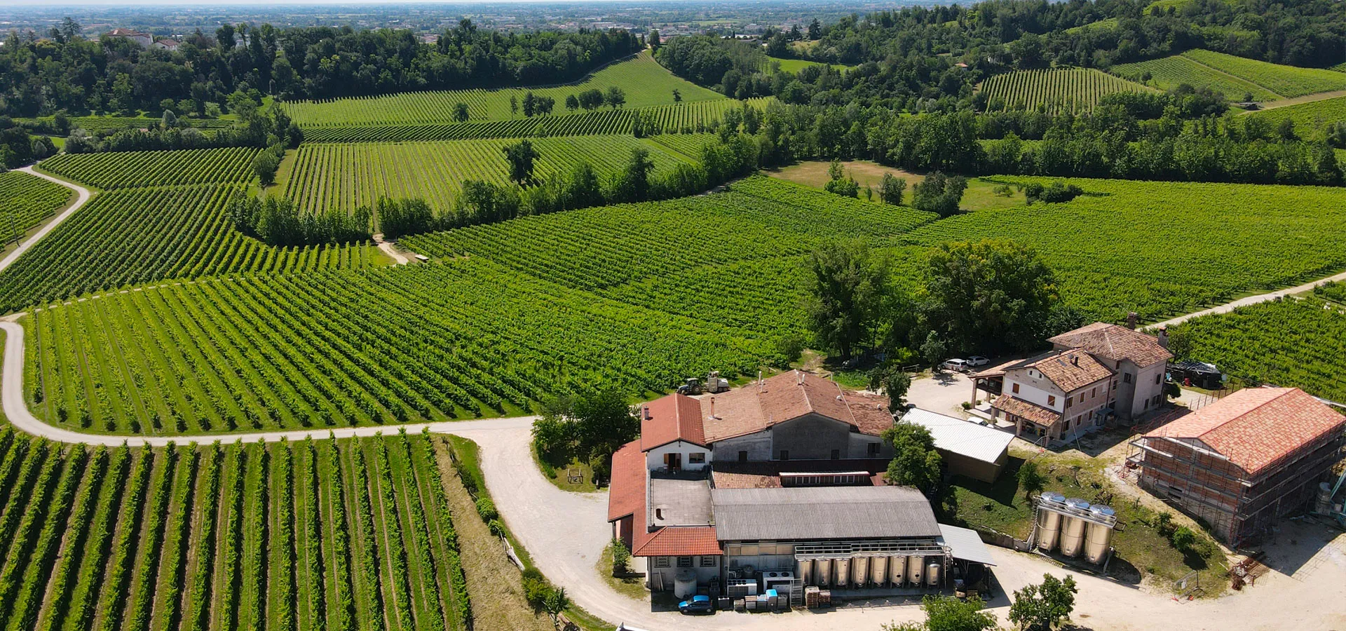 lucchetta-vini-la-nostra-azienda