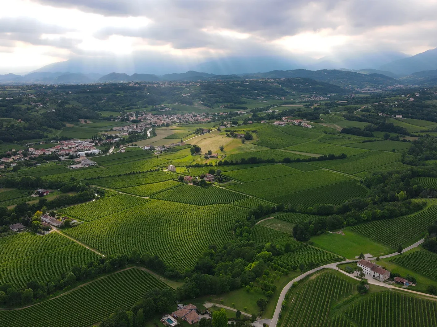 lucchetta-vini-slide-01