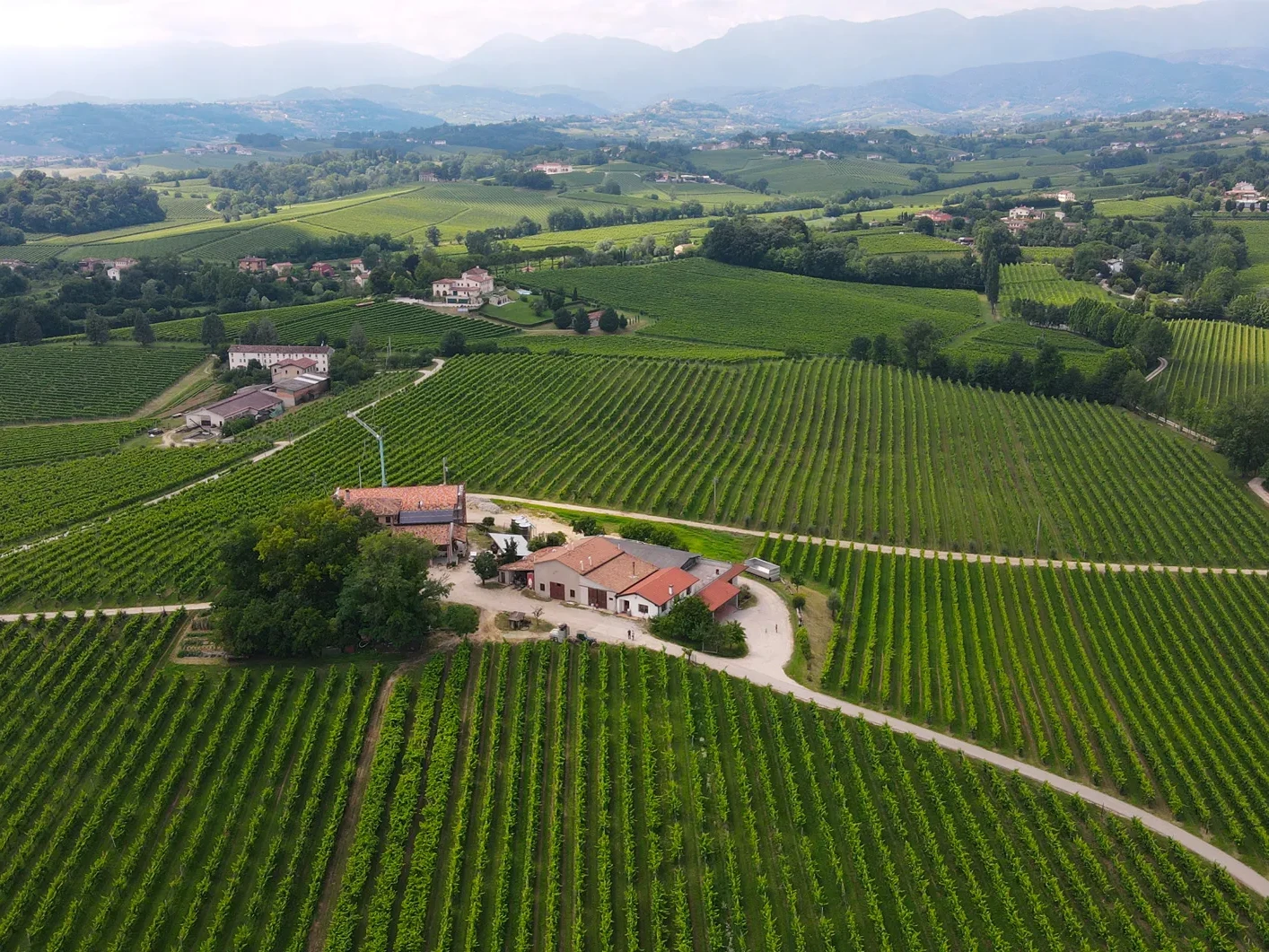 lucchetta-vini-slide-02
