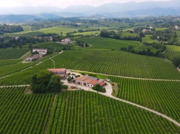 lucchetta-vini-slide-02