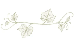 vite-vini-lucchetta