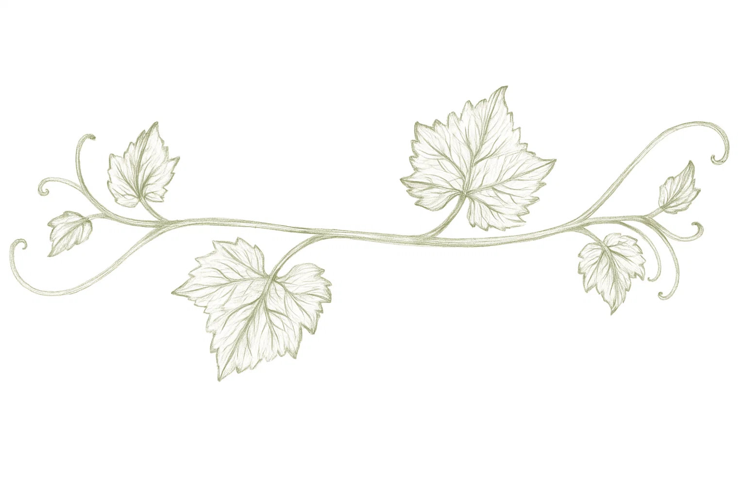 vite-vini-lucchetta
