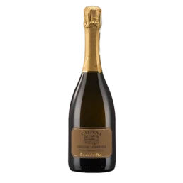 lucchetta-calpena-extradry_trasp