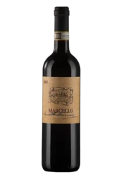 lucchetta-marcello_trasp