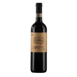 lucchetta-marcello_trasp