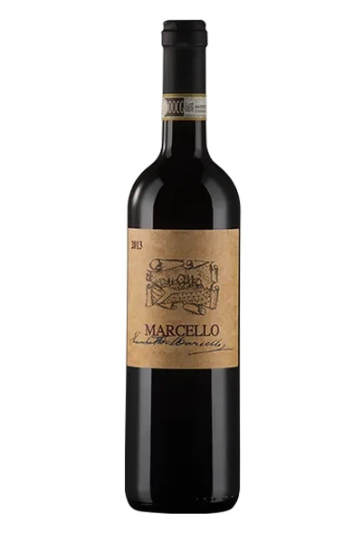 lucchetta-marcello_trasp